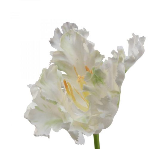 Floristik24 Kunstig blomst, papegøje tulipan hvidgrøn, forårsblomst 69cm