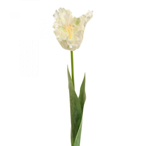 Artikel Kunstig blomst, papegøje tulipan hvidgrøn, forårsblomst 69cm