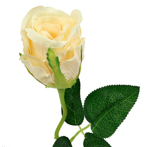 Artikel Kunstige blomster rose creme Ø6cm L50cm 6stk