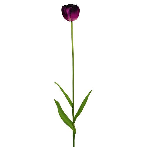 Floristik24 Kunstige blomster tulipaner lilla-grøn 84 cm - 85 cm 3stk