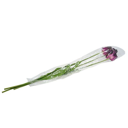 Floristik24 Kunstige blomster tulipaner lilla-grøn 84 cm - 85 cm 3stk