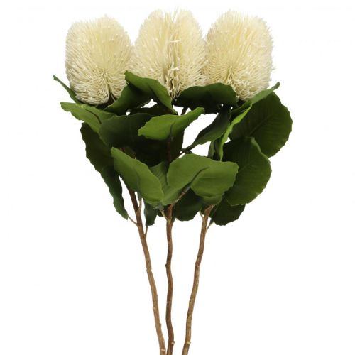 Artikel Kunstige blomster, Banksia, Proteaceae Cremehvid L58cm H6cm 3stk