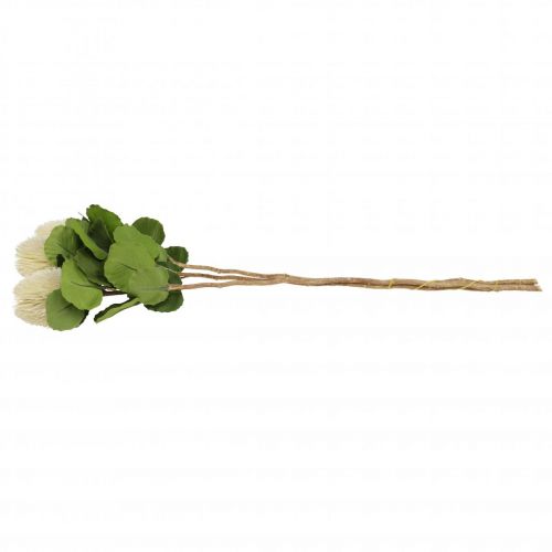 Artikel Kunstige blomster, Banksia, Proteaceae Cremehvid L58cm H6cm 3stk
