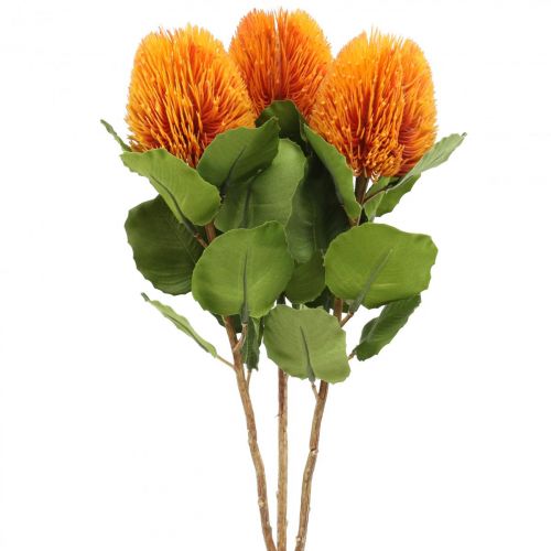 Floristik24 Kunstige blomster, Banksia, Proteaceae Orange L58cm H6cm 3 stk