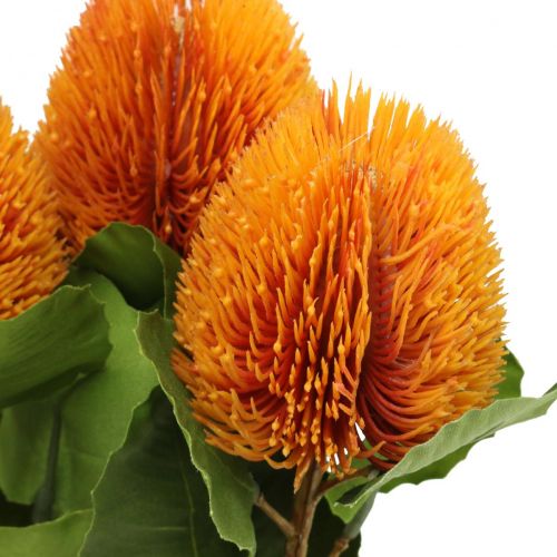 Floristik24 Kunstige blomster, Banksia, Proteaceae Orange L58cm H6cm 3 stk