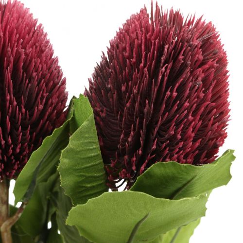Artikel Kunstige blomster, Banksia, Proteaceae vinrød L58cm H6cm 3stk