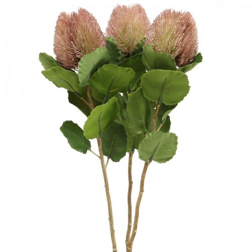 Artikel Kunstig Banksia Proteaceae Hvid-Lilla L58cm H6cm 3stk