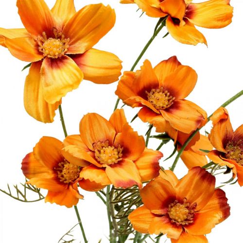 Artikel Kunstige blomster Cosmea Orange smykkekurv H51cm 3 stk