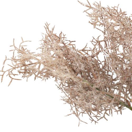 Floristik24 Kunstige blomster dekoration, koralgren, dekorative grene hvid brun 40cm 4 stk.