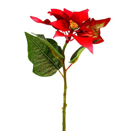 Floristik24 Kunstige blomster julestjerne rød L73cm