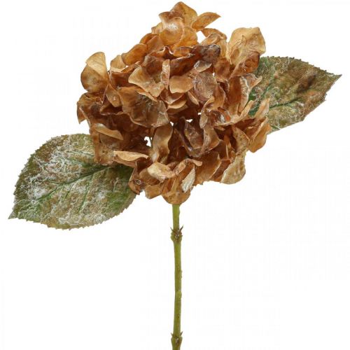 Kunstig hortensia tørret op Drylook efterårsdekoration L33cm