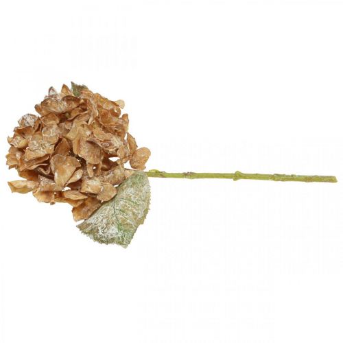 Artikel Kunstig hortensia tørret op Drylook efterårsdekoration L33cm