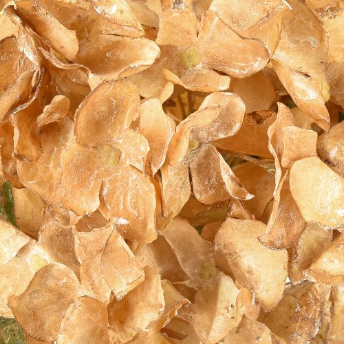 Artikel Kunstig hortensia tørret op Drylook efterårsdekoration L33cm