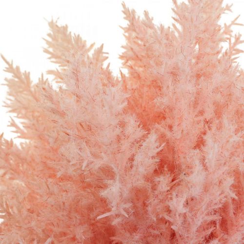 Artikel Kunstig Plante Astilbe Dekorationsgrene Kunstig Pink H38cm 5 Stk