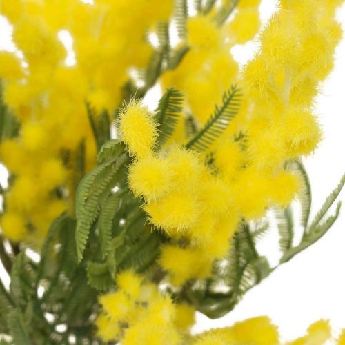 Floristik24 Kunstig plante, sølv akacie, deco mimosa gul, 39cm 3 stk
