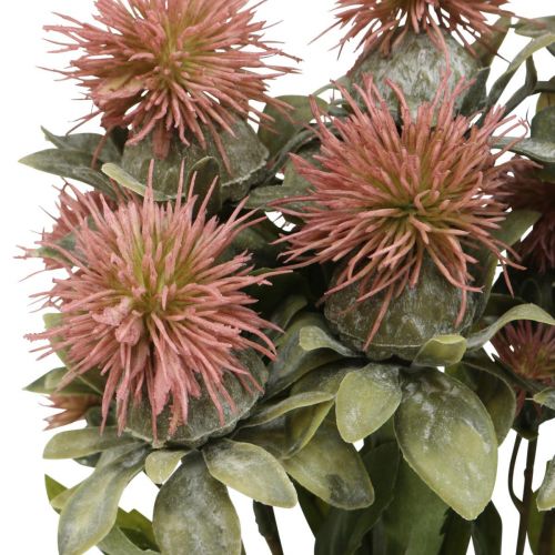 Floristik24 Kunstige planter tidseltidselgren tidsel pink 4stk