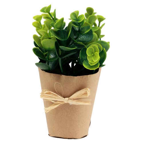 Artikel Kunstige planter Kunstig Bregne buksbom 15-19cm 4stk