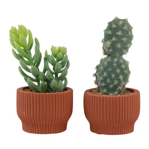 Floristik24 Kunstige planter Sukkulent kaktus Kunstig grøn plante 14,5/15,5 cm 2 stk.