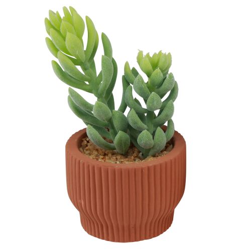 Artikel Kunstige planter Sukkulent kaktus Kunstig grøn plante 14,5/15,5 cm 2 stk.