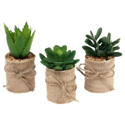 Floristik24 Kunstige planter dekorative sukkulenter kunstige 9,5-12,5 cm 3 stk.