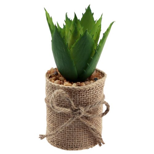 Floristik24 Kunstige planter dekorative sukkulenter kunstige 9,5-12,5 cm 3 stk.