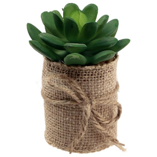 Floristik24 Kunstige planter dekorative sukkulenter kunstige 9,5-12,5 cm 3 stk.