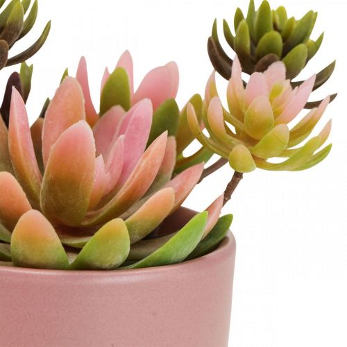 Artikel Kunstige planter i potter kunstige sukkulenter H13cm 3stk