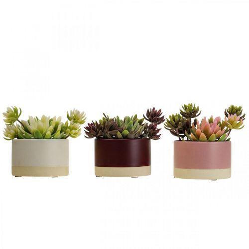 Floristik24 Kunstige planter i potter kunstige sukkulenter H13cm 3stk