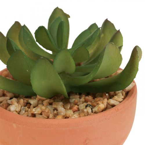 Floristik24 Kunstige planter i potter kunstige sukkulenter H9cm 3stk