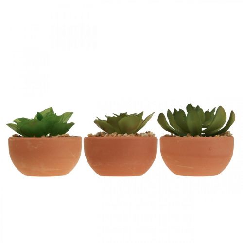 Floristik24 Kunstige planter i potter kunstige sukkulenter H9cm 3stk
