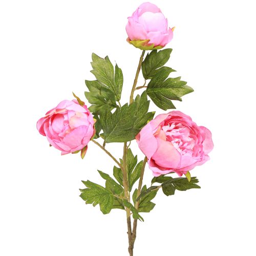 Floristik24 Kunstige Roser Pæoner Kunstige i Pink L80cm 2stk