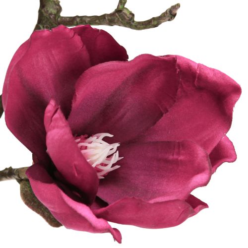 Artikel Kunstig Magnolia-gren Kunstige Blomster Bordeaux L100cm