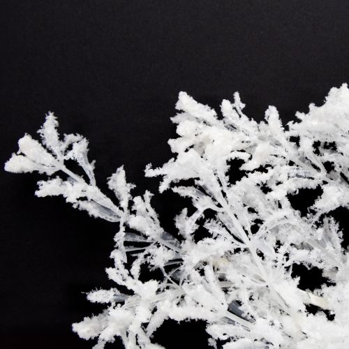Floristik24 Kunstig gren frostet dekorativ gren vinterdekoration hvid 78 cm 2 stk.