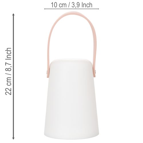 Lampe med håndtag, bærbar LED-lampe til udendørs og indendørs brug, 22 cm, 3 stk. | Floristik24.dk