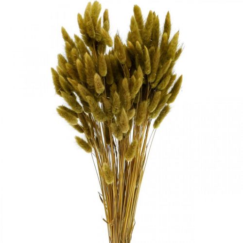 Artikel Lagurus Tørret Kaninhale Græs Oliven 65-70cm 100g