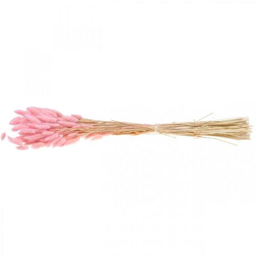 Floristik24 Lagurus tørret harehale græs lys pink 65-70cm 100g