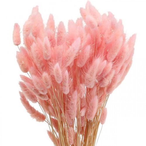 Floristik24 Lagurus tørret harehale græs lys pink 65-70cm 100g