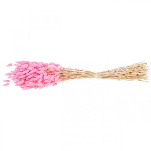 Artikel Lagurus Tørret Kaninhale Græs Pink 65-70cm 100g