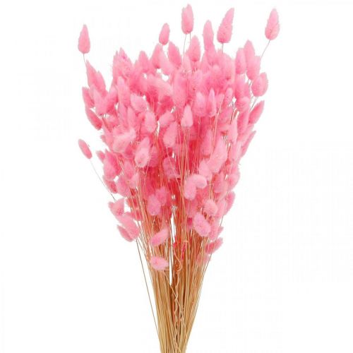 Floristik24 Lagurus Tørret kaninhale Græs Pink 65-70cm 100g