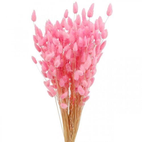 Artikel Lagurus Tørret Kaninhale Græs Pink 65-70cm 100g