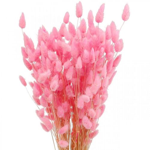 Artikel Lagurus Tørret Kaninhale Græs Pink 65-70cm 100g
