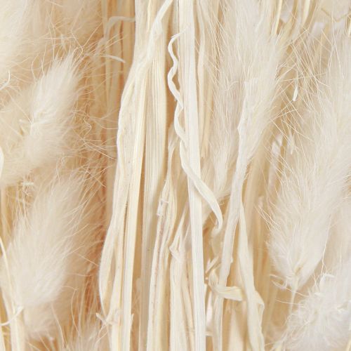 Artikel Tørrede blomster Lagurus Natural – fluffy kaninhalegræs i cremehvid 55-70 cm 100 g