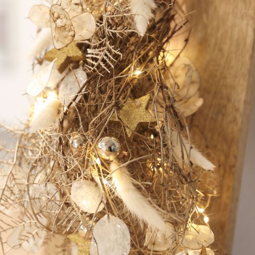 Tørrede blomster Lagurus Natural – fluffy kaninhalegræs i cremehvid 55-70 cm 100 g | Floristik24.dk