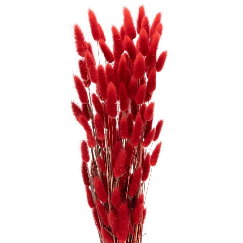 Tørret Lagurus-buket, tørret blomsterdekoration, 70 cm, 100 g