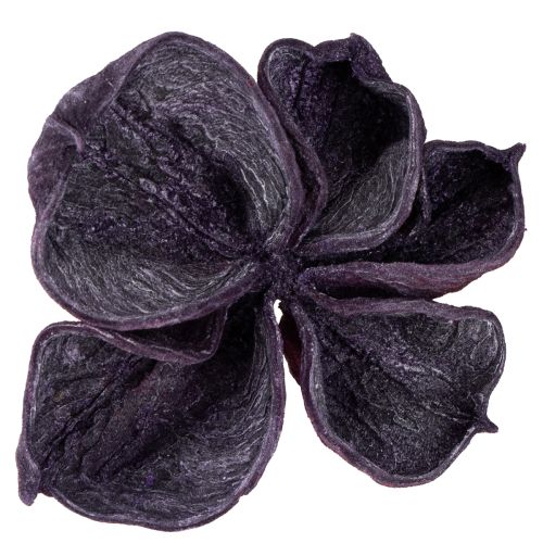 Artikel Landlotus Mix Blackberry, Old Pink 50 stk