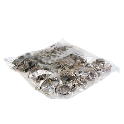 Artikel Landlotus hvidvasket 6-12cm 50 stk