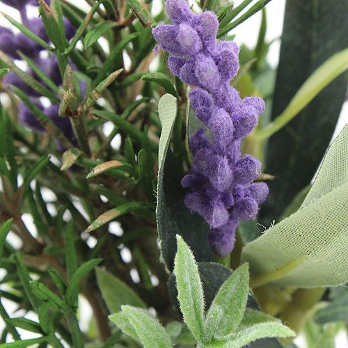 Floristik24 Lavendel-rosmarin bundt 20 cm