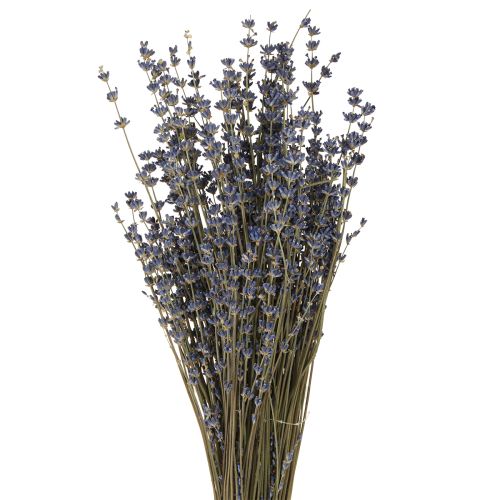 Artikel Lavendel tørrede blomsterdekoration Naturlig 100g 40cm 100g × 2stk