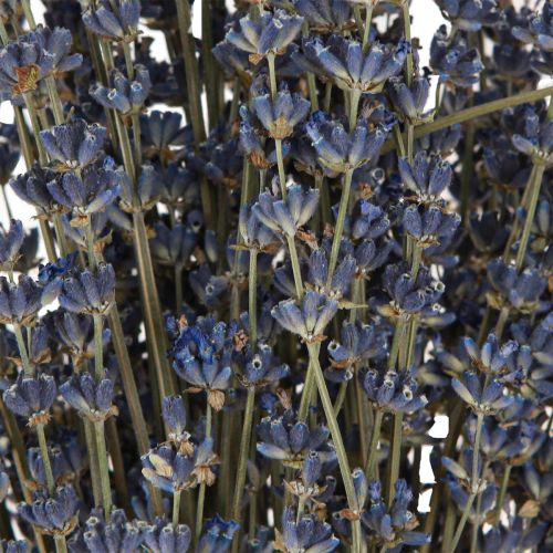 Artikel Lavendel tørrede blomsterdekoration Naturlig 100g 40cm 100g × 2stk