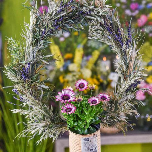 Artikel Tørret lavendel bundt tørret blomst blå 25cm 75g